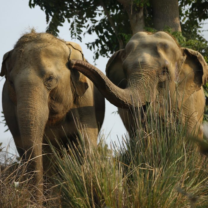 New BBF's Kalpana & Holly!