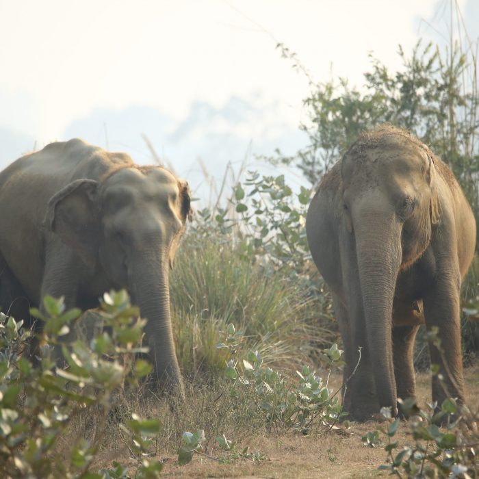 Holly and Kalpana take a leisurely lunch!