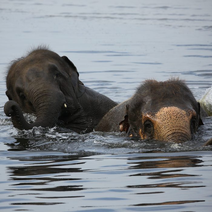 Happy Galentine's Day!