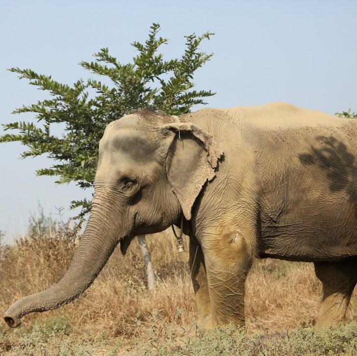 Holly and Kalpana take a leisurely lunch