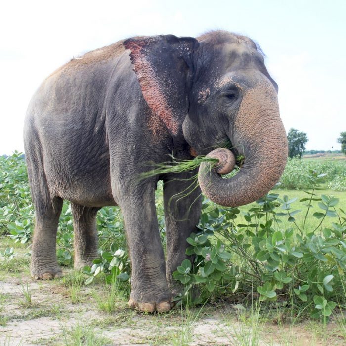 Happy Galentine's Day!