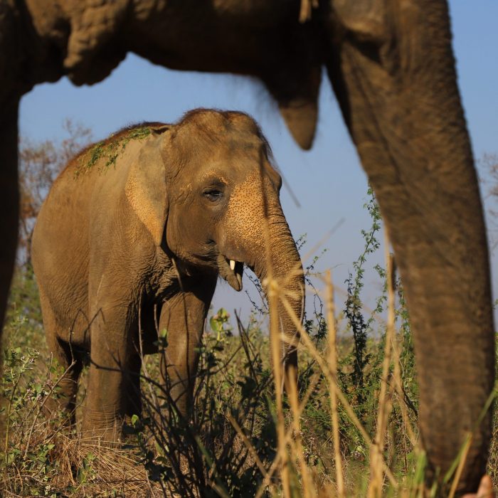 Sisters Reunited, finally!
