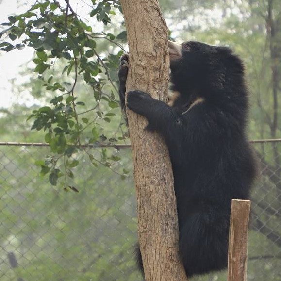 Funday out with Weasleys