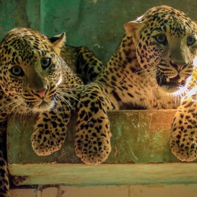 Natalie & George Enjoy A Cool Sip!