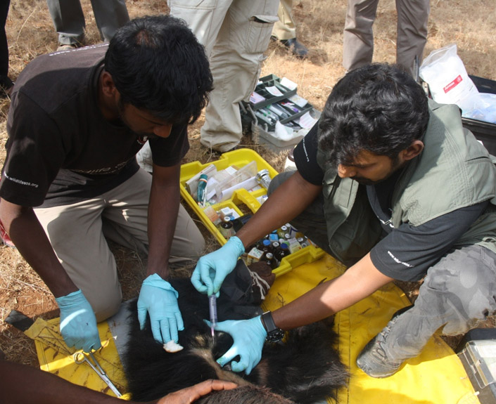 Human-Wildlife Conflict Mitigation