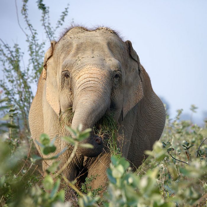 Happy Galentine's Day!