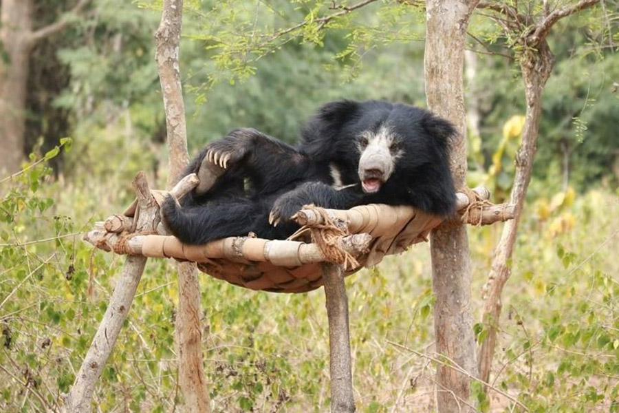 West Bengal Bear Rescue Centre
