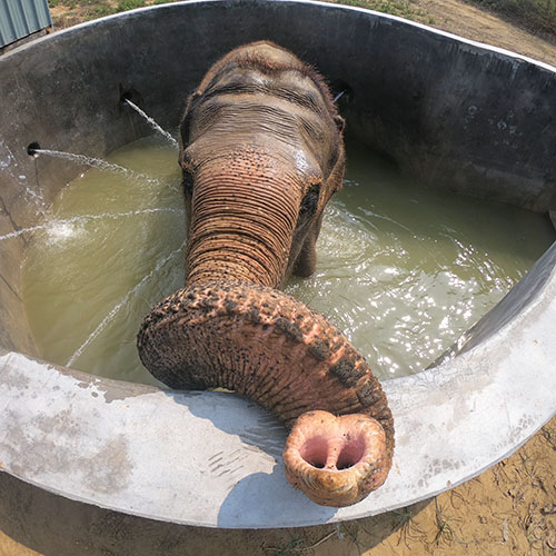 Spa day with Phoolkali