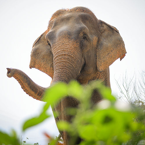 Priyanka’s first interaction with Laxmi