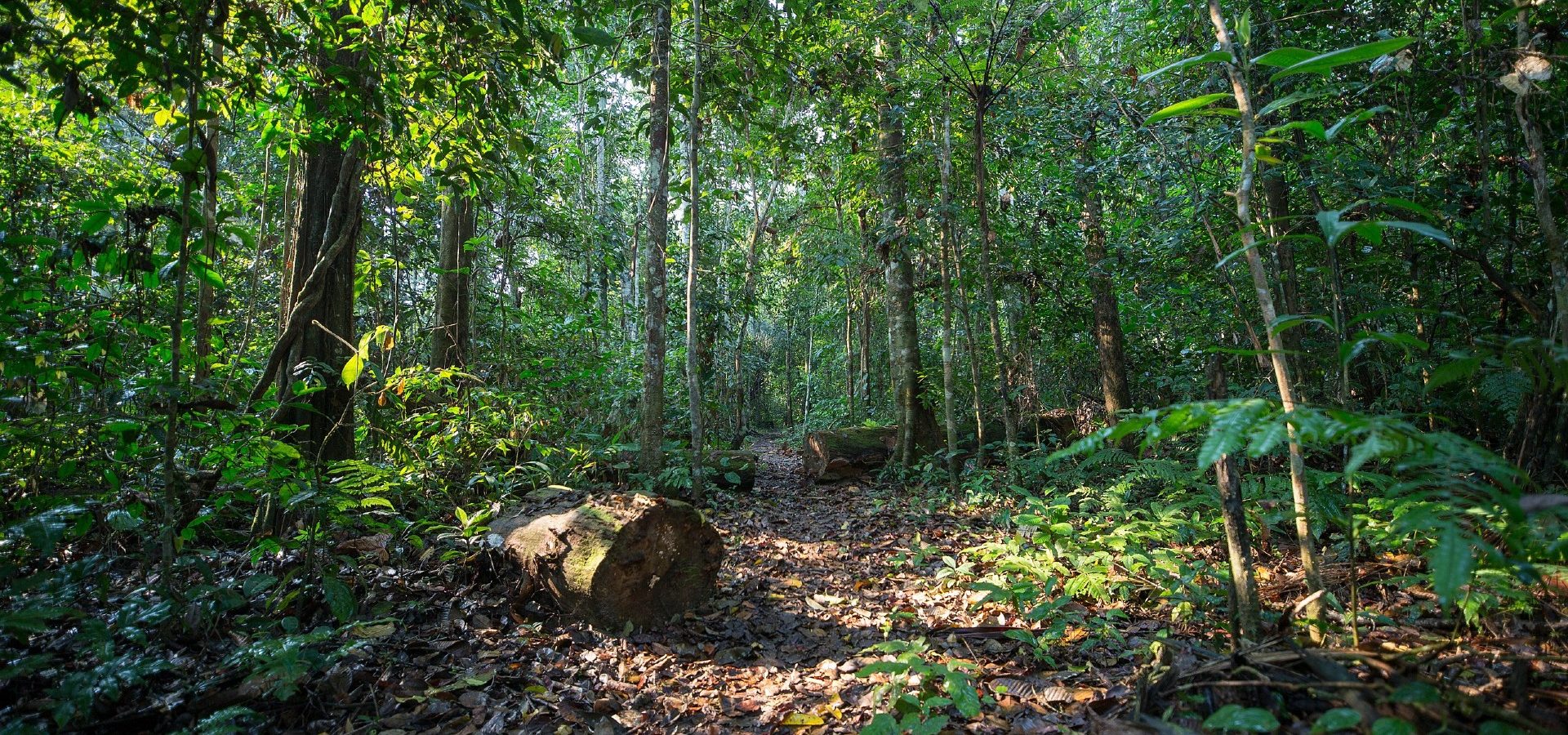 biodiversity hotspot