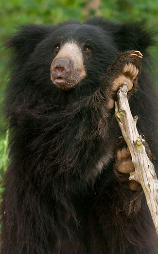 CONSERVATION EDUCATION